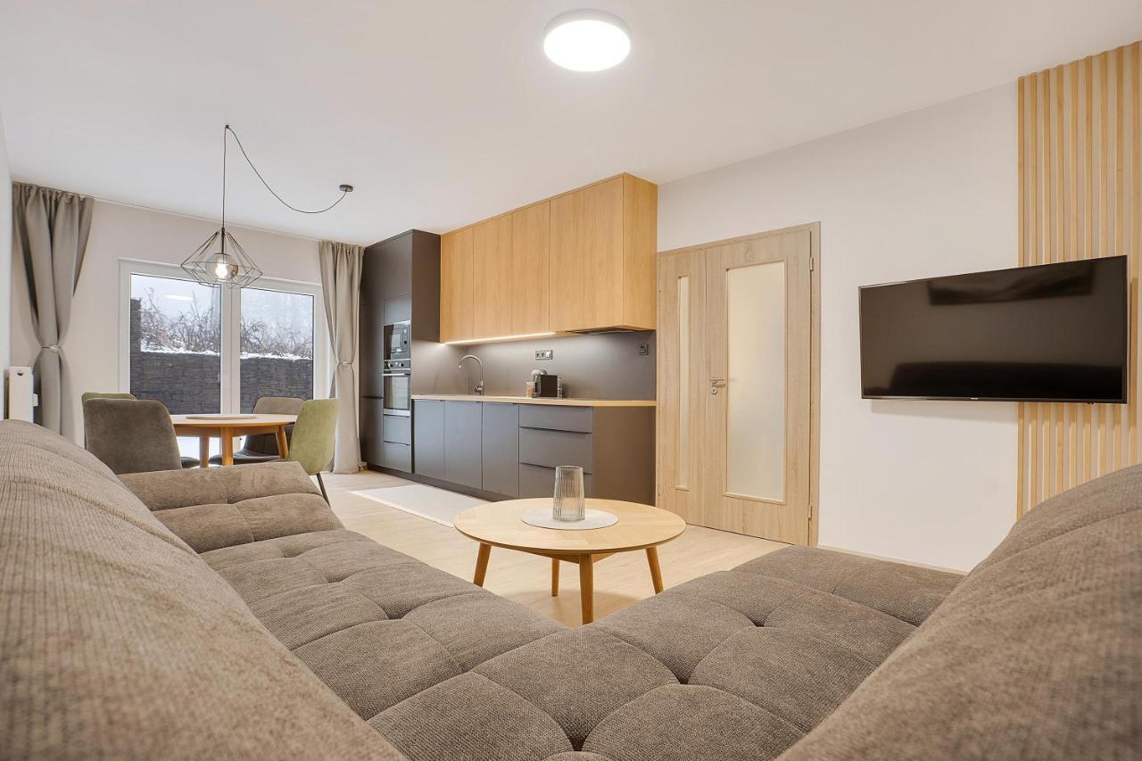 Apartament Krusnohorske Strane Loučná pod Klínovcem Zewnętrze zdjęcie